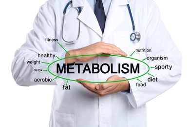 Metabolism concept. Doctor presenting scheme on white background, closeup