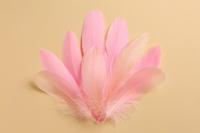 Photo of Beautiful pink feathers on beige background, top view