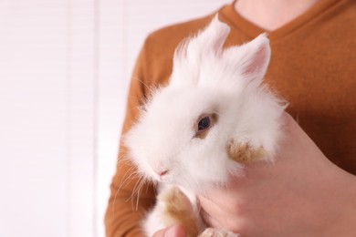 Photo of Man with fluffy white rabbit indoors, closeup and space for text. Cute pet