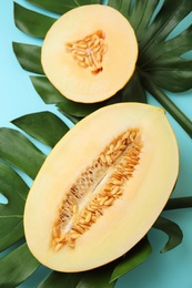 Photo of Flat lay composition with melon and tropical leaves on color background