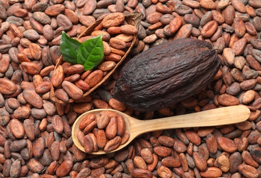 Wooden spoon and cocoa pod on beans, top view