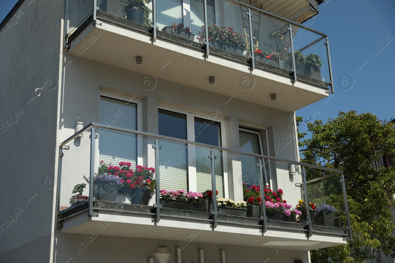 Photo of Balconies decorated with beautiful blooming potted flowers