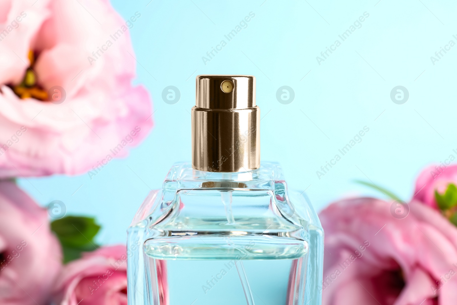 Photo of Bottle of perfume on blurred background, closeup