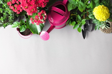 Flat lay composition with gardening tools and plants on grey background