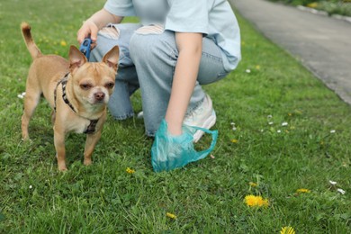 Woman picking up her dog's poop from green grass, closeup