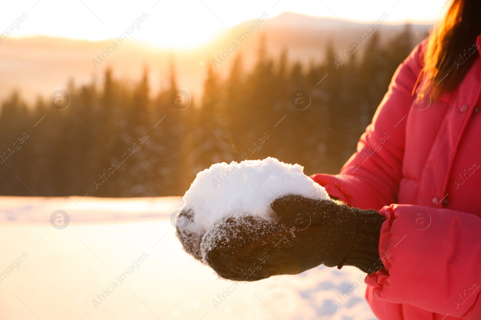 Photo of Woman holding pile of snow outdoors, closeup. Winter vacation