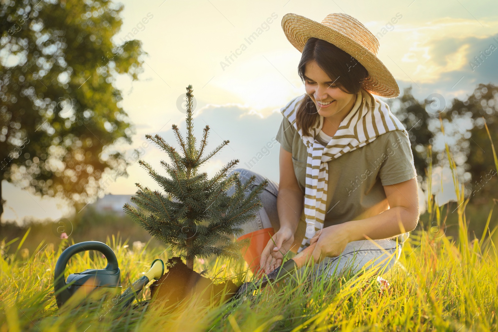 Photo of Young woman planting conifer tree in countryside on sunny day