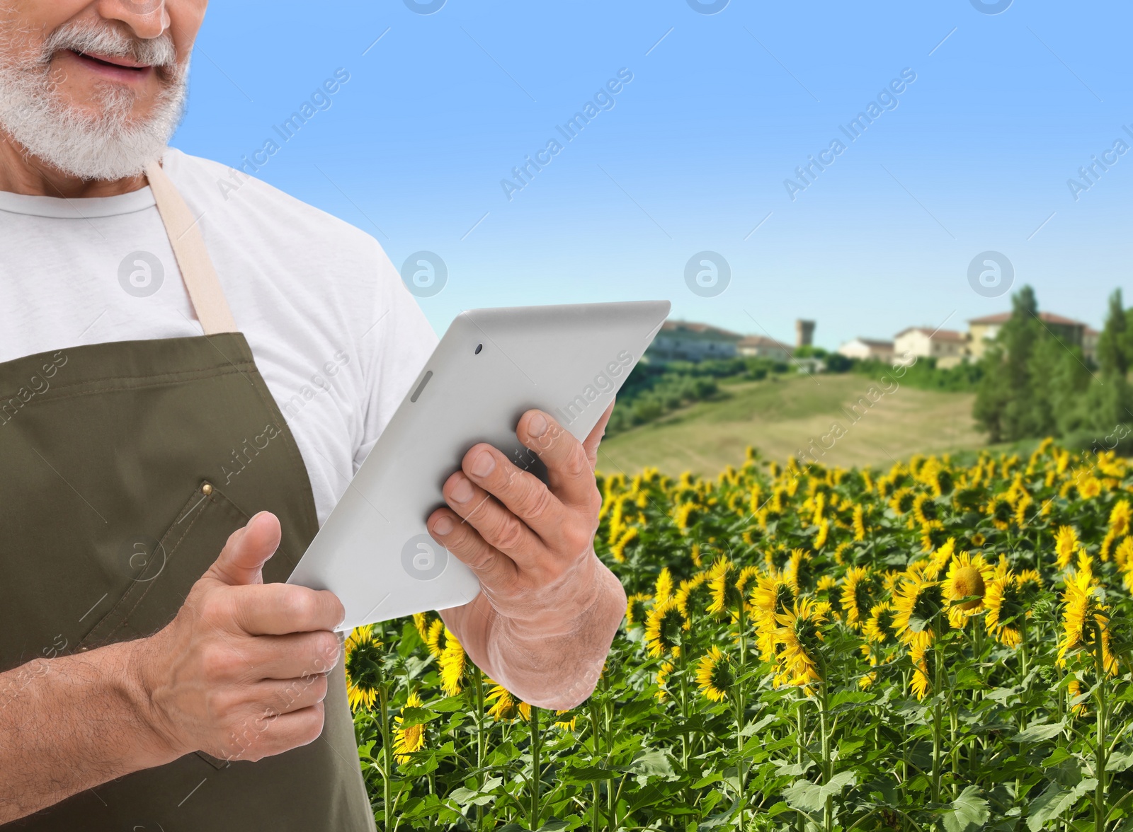 Image of Farmer with tablet computer in field, closeup. Harvesting season