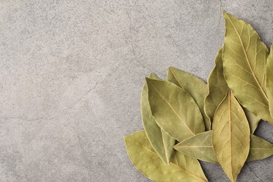 Photo of Aromatic bay leaves on light gray table, top view. Space for text