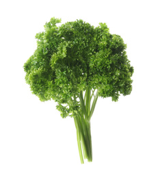 Bunch of fresh curly parsley on white background