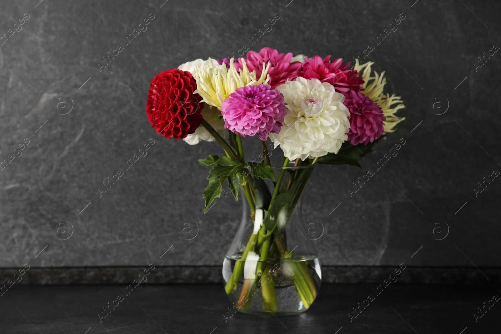 Photo of Bouquet of beautiful Dahlia flowers in vase on black table near grey wall