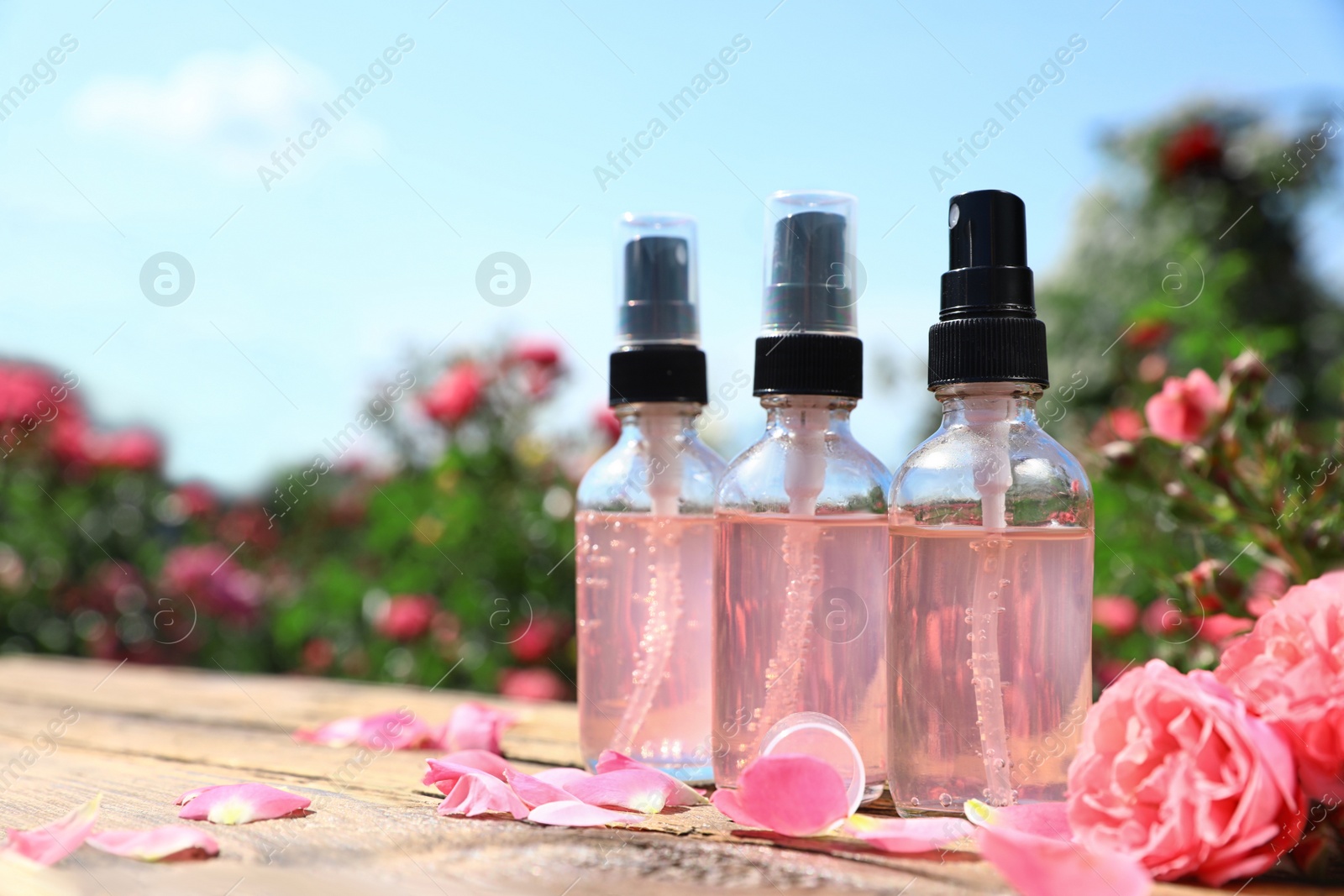 Photo of Bottles of facial toner with essential oil and fresh roses on wooden table against blurred background. Space for text