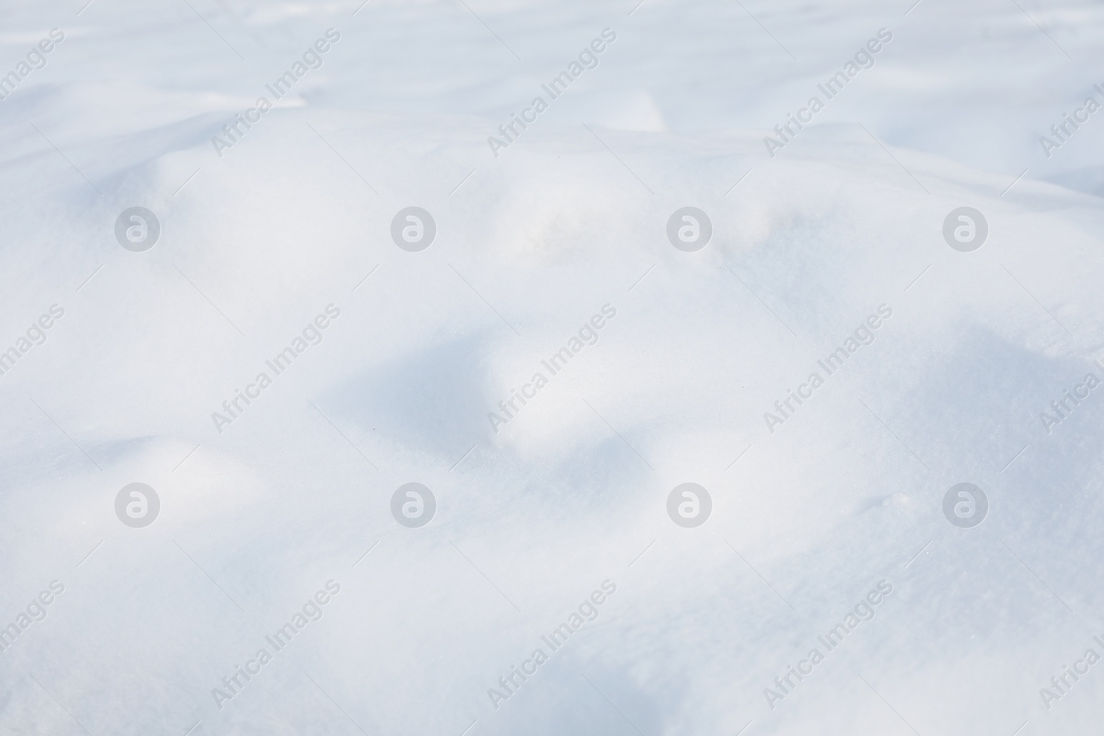 Photo of White snow as background, closeup. Winter season