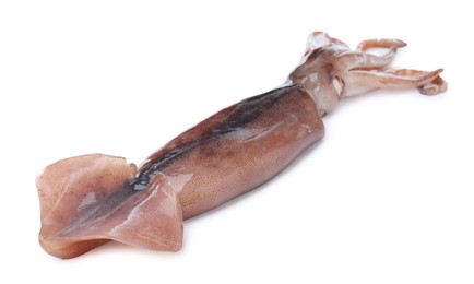 Photo of Raw squid isolated on white. Fresh seafood
