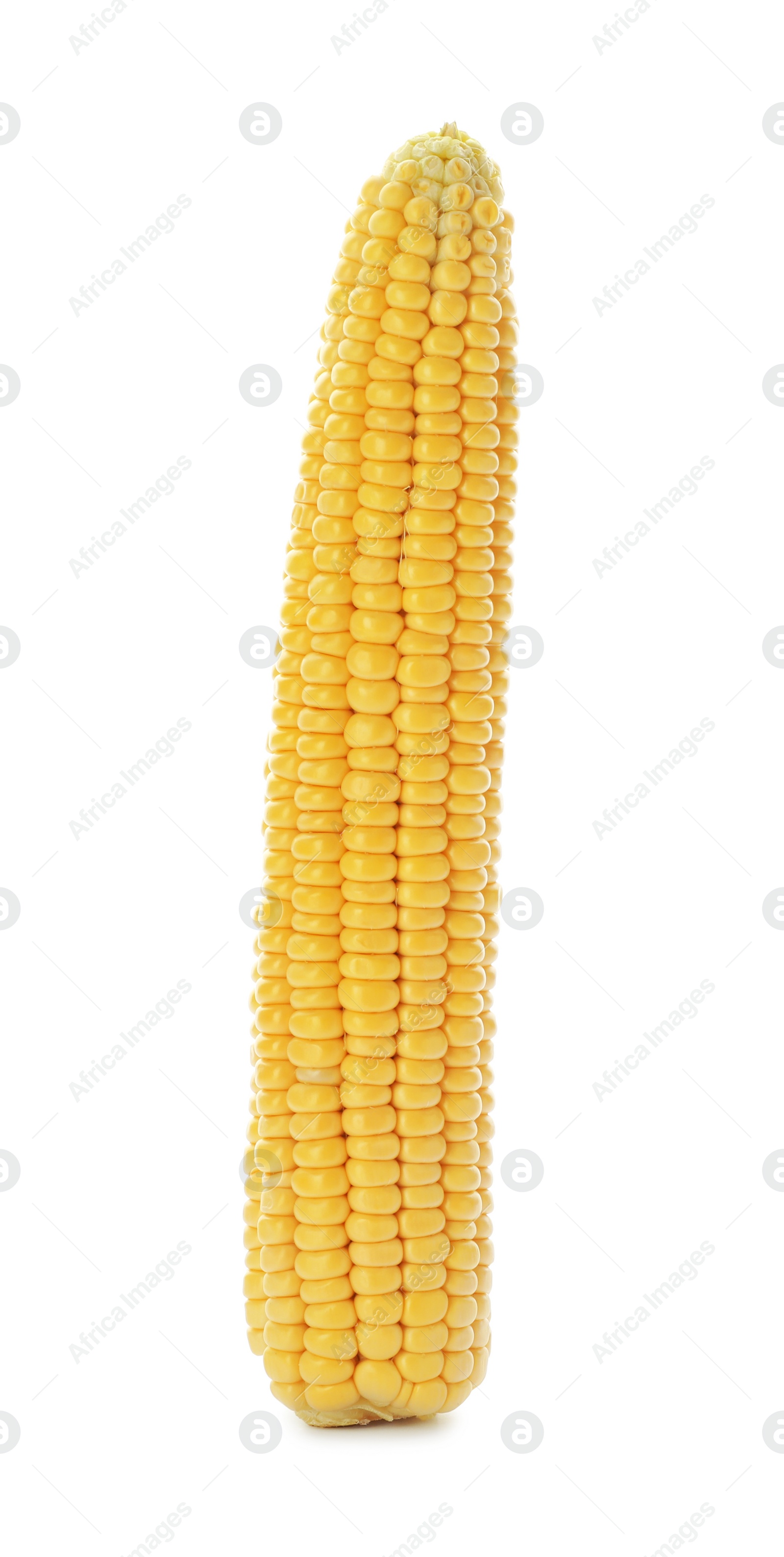 Photo of Tasty sweet corn cob on white background