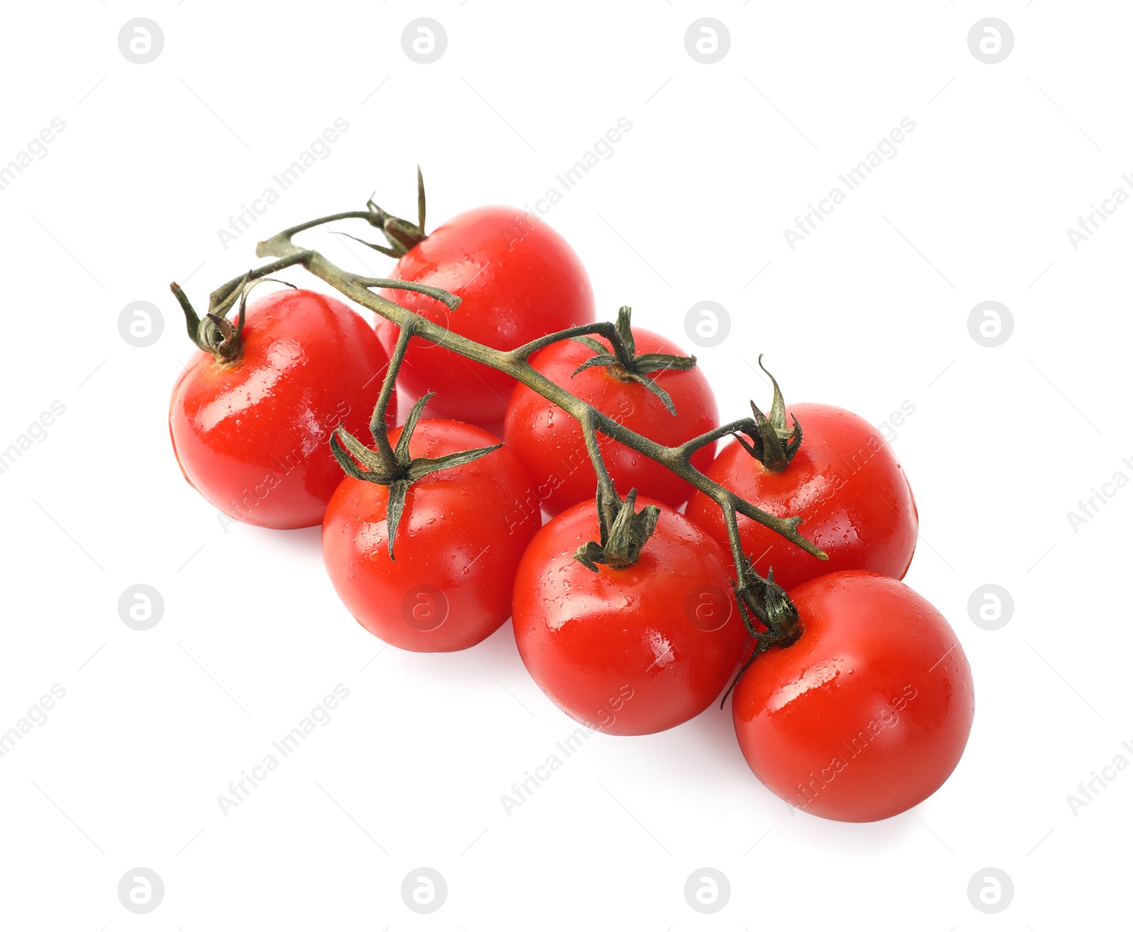 Photo of Branch of red roasted cherry tomatoes isolated on white