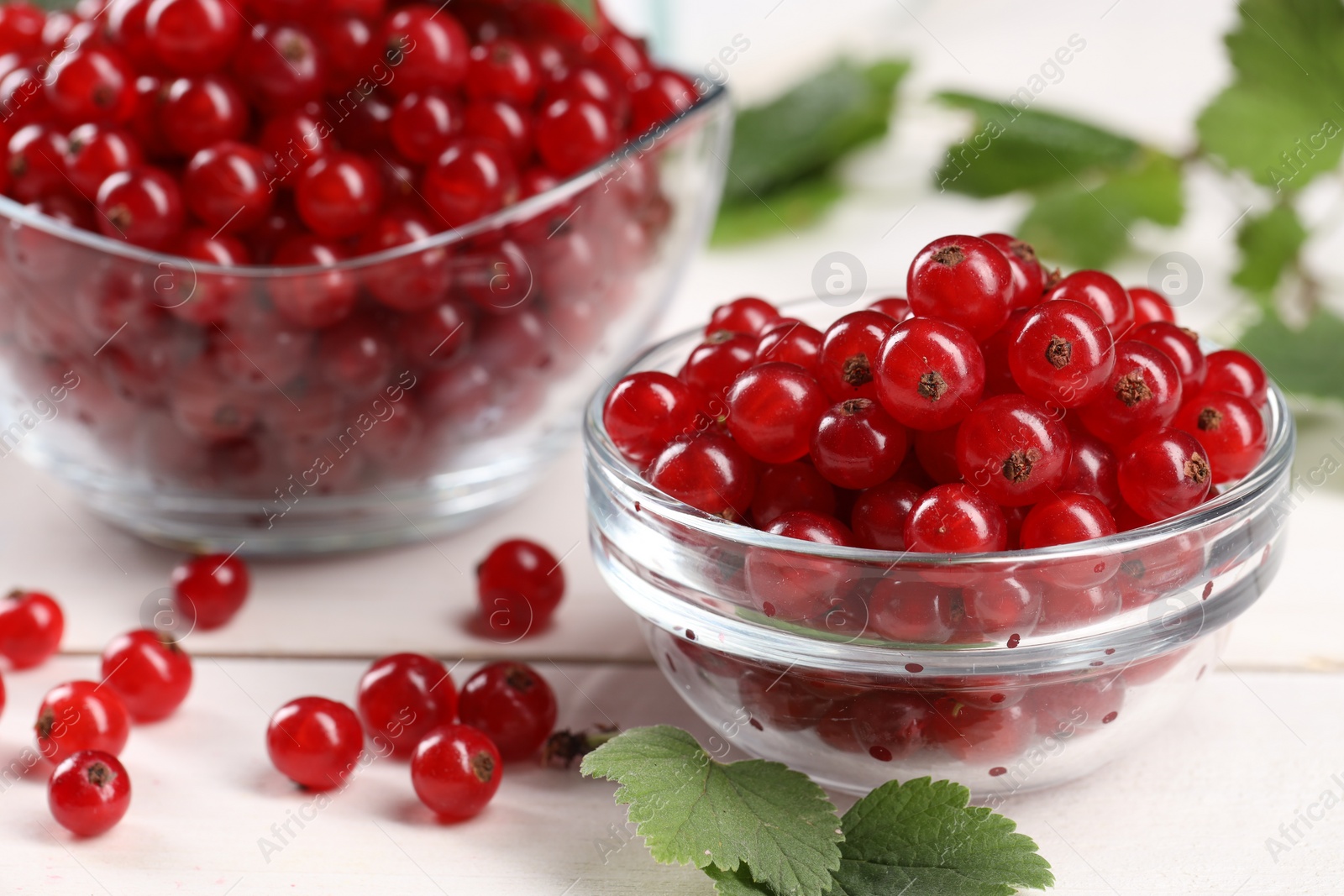 Photo of Many ripe red currants and leaves on white wooden table, closeup