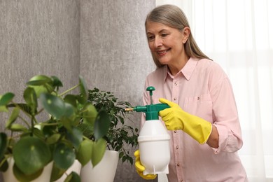 Happy housewife spraying green houseplants at home