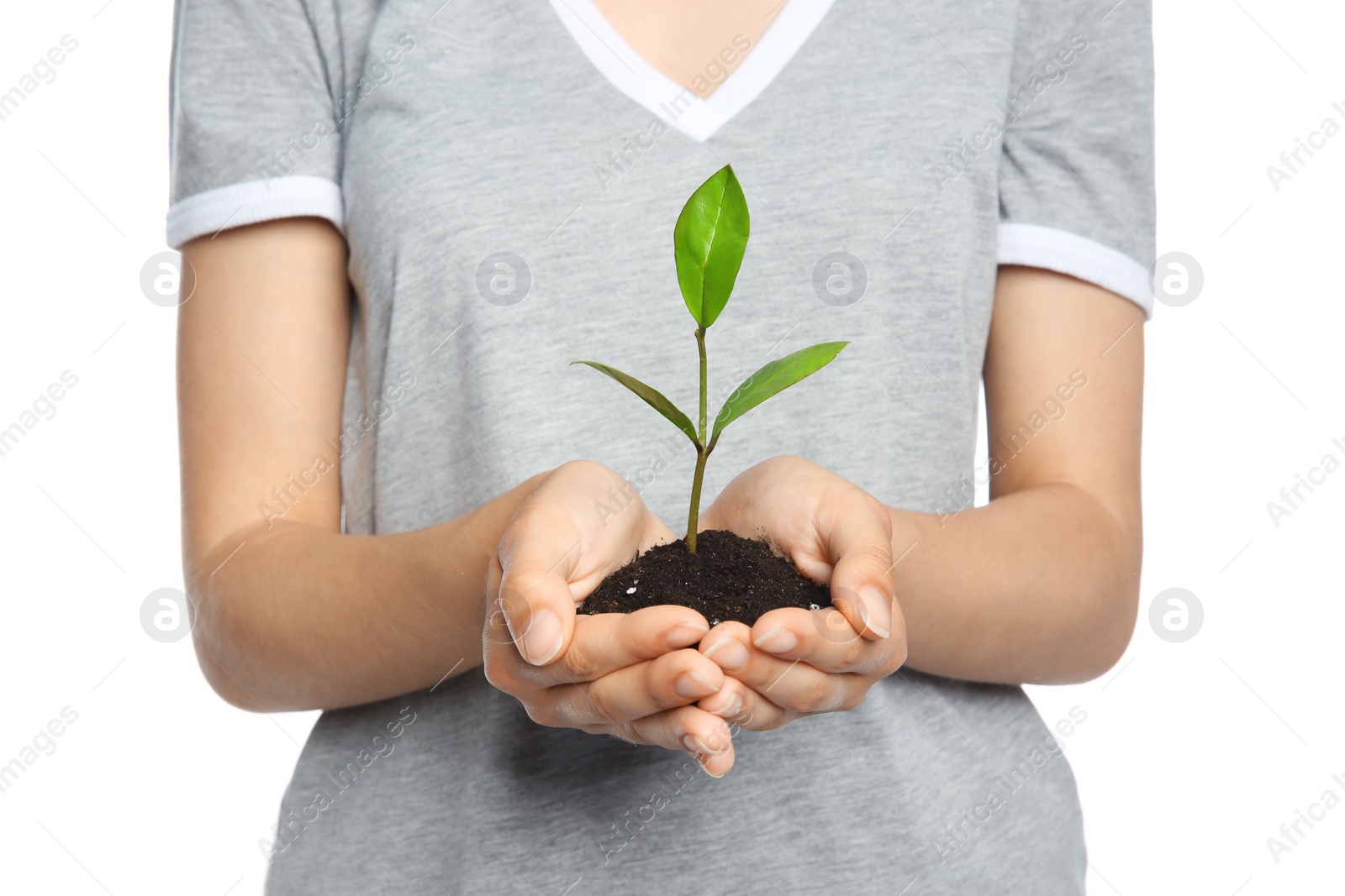 Photo of Woman holding soil with green plant in hands on white background