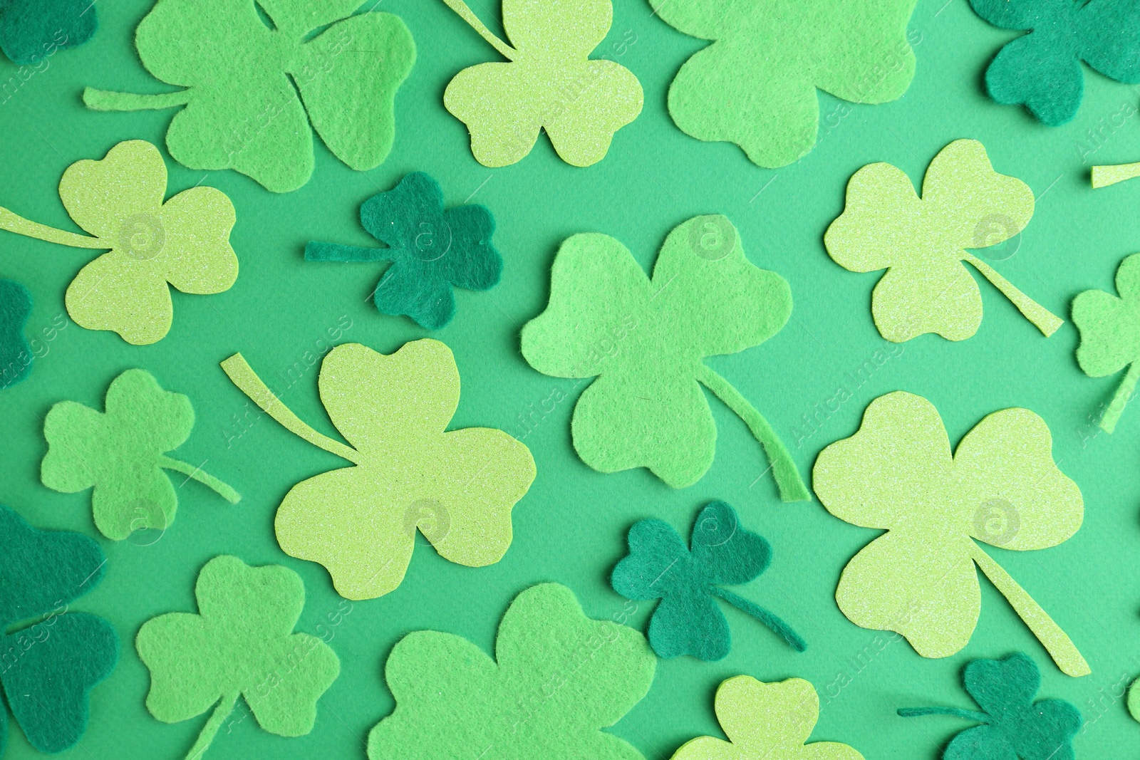 Photo of St. Patrick's day. Decorative clover leaves on green background, flat lay