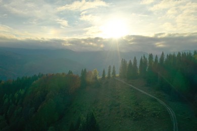 Aerial view of beautiful pathway in mountain forest at sunrise