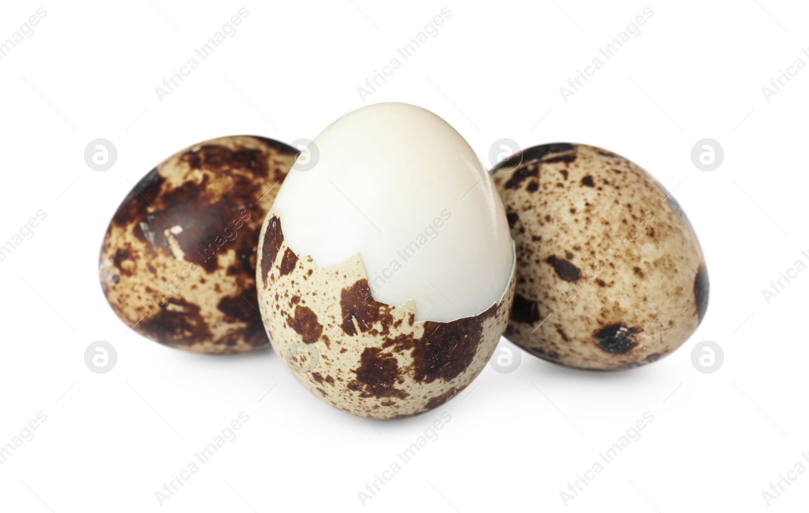 Photo of Boiled quail eggs in shell isolated on white