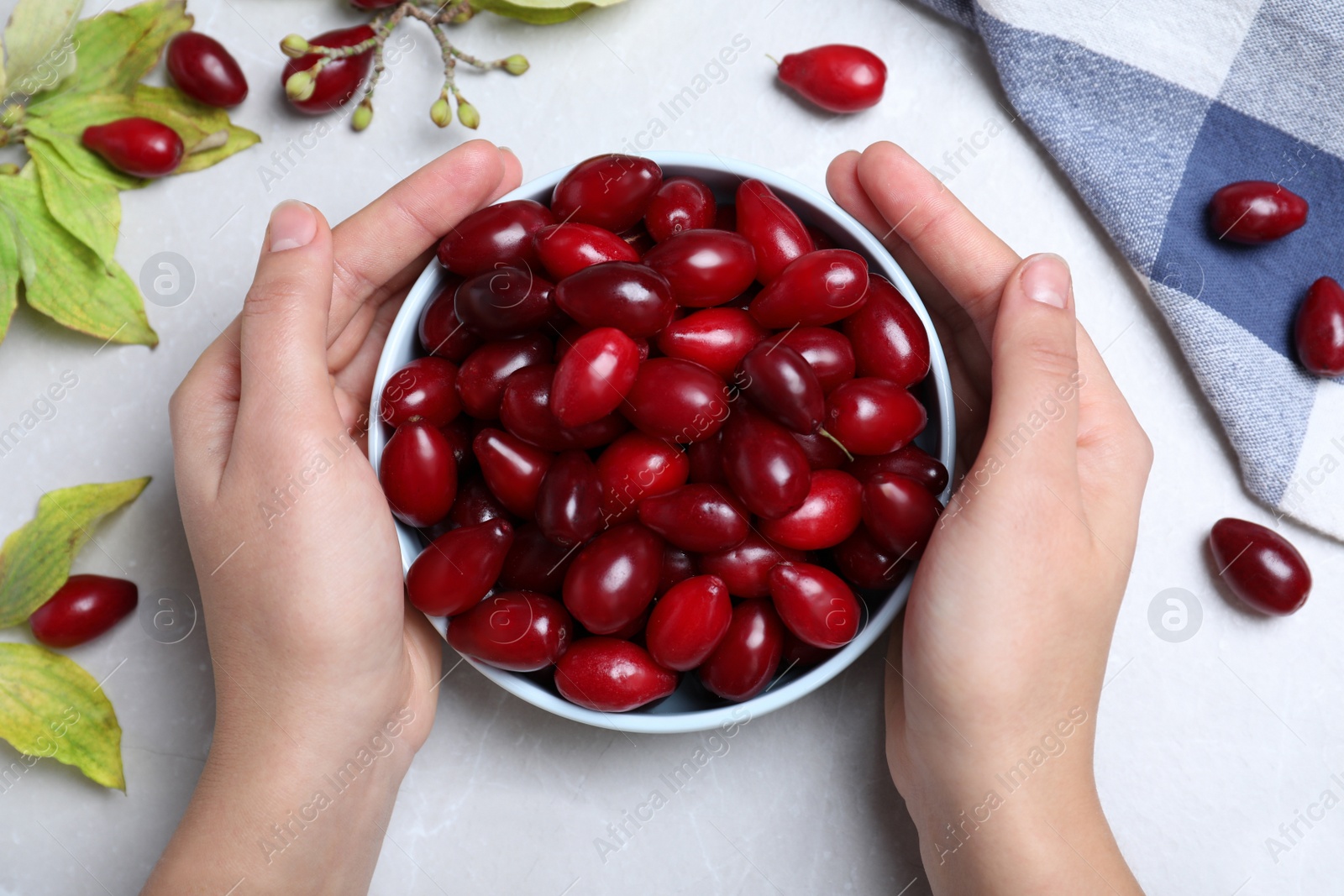 Photo of Woman with bowl of fresh ripe dogwood berries at light grey table, top view