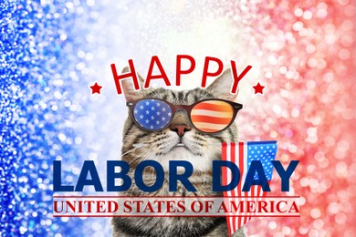 Image of Happy Labor Day. Cute cat with sunglasses and American flag on shiny festive background