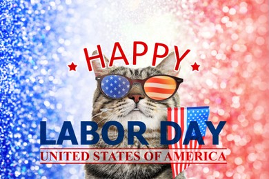 Happy Labor Day. Cute cat with sunglasses and American flag on shiny festive background