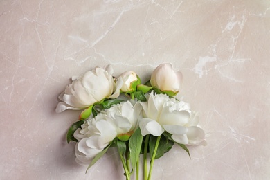 Beautiful blooming peony flowers on light background, top view