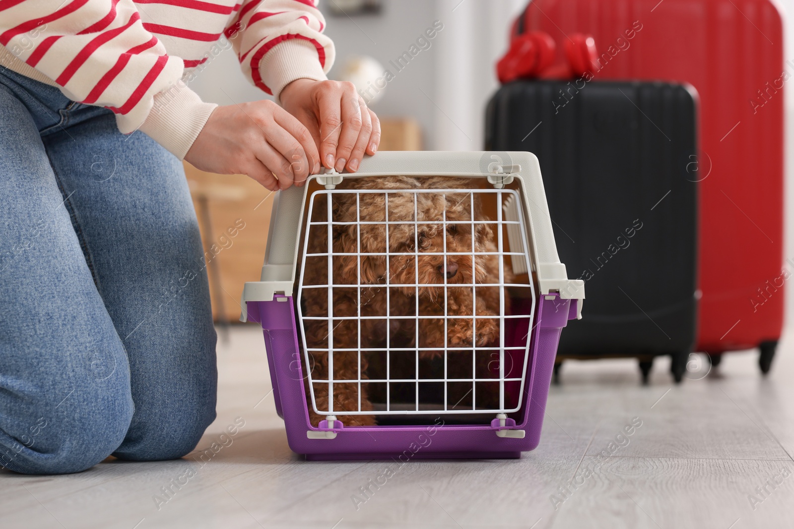 Photo of Woman closing carrier with her pet before travelling indoors, closeup