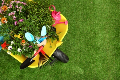 Photo of Wheelbarrow with flowers and gardening tools on grass, top view. Space for text