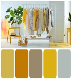 Color palette appropriate to photo of stylish women's clothes on rack in room