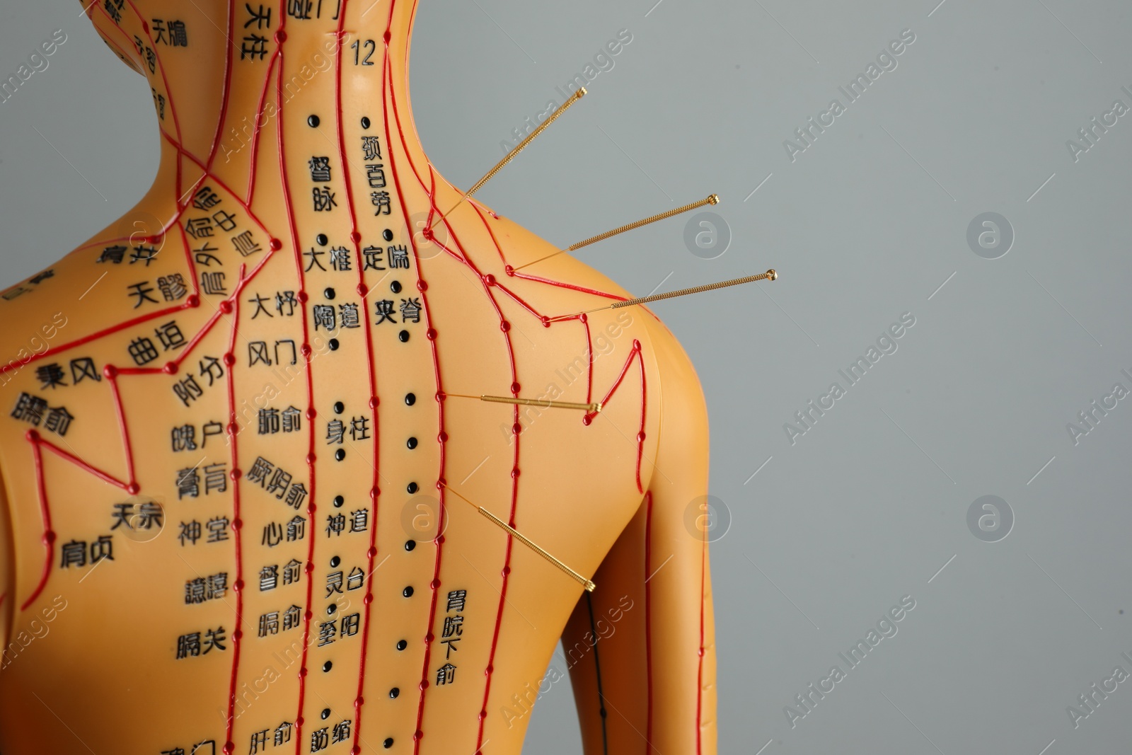 Photo of Acupuncture - alternative medicine. Human model with needles in shoulder against grey background, space for text