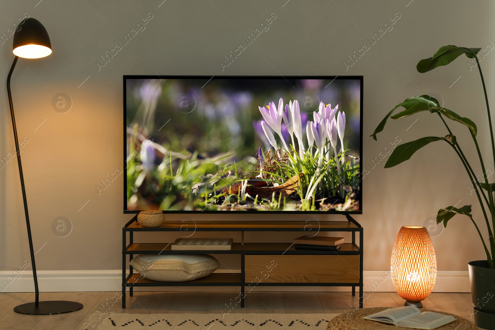 Image of Small flowers on TV screen in room