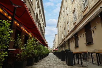 Narrow city street with beautiful buildings and potted plants