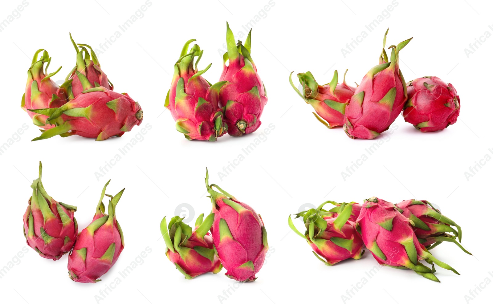 Image of Set with delicious pink dragon fruits (pitahaya) on white background 