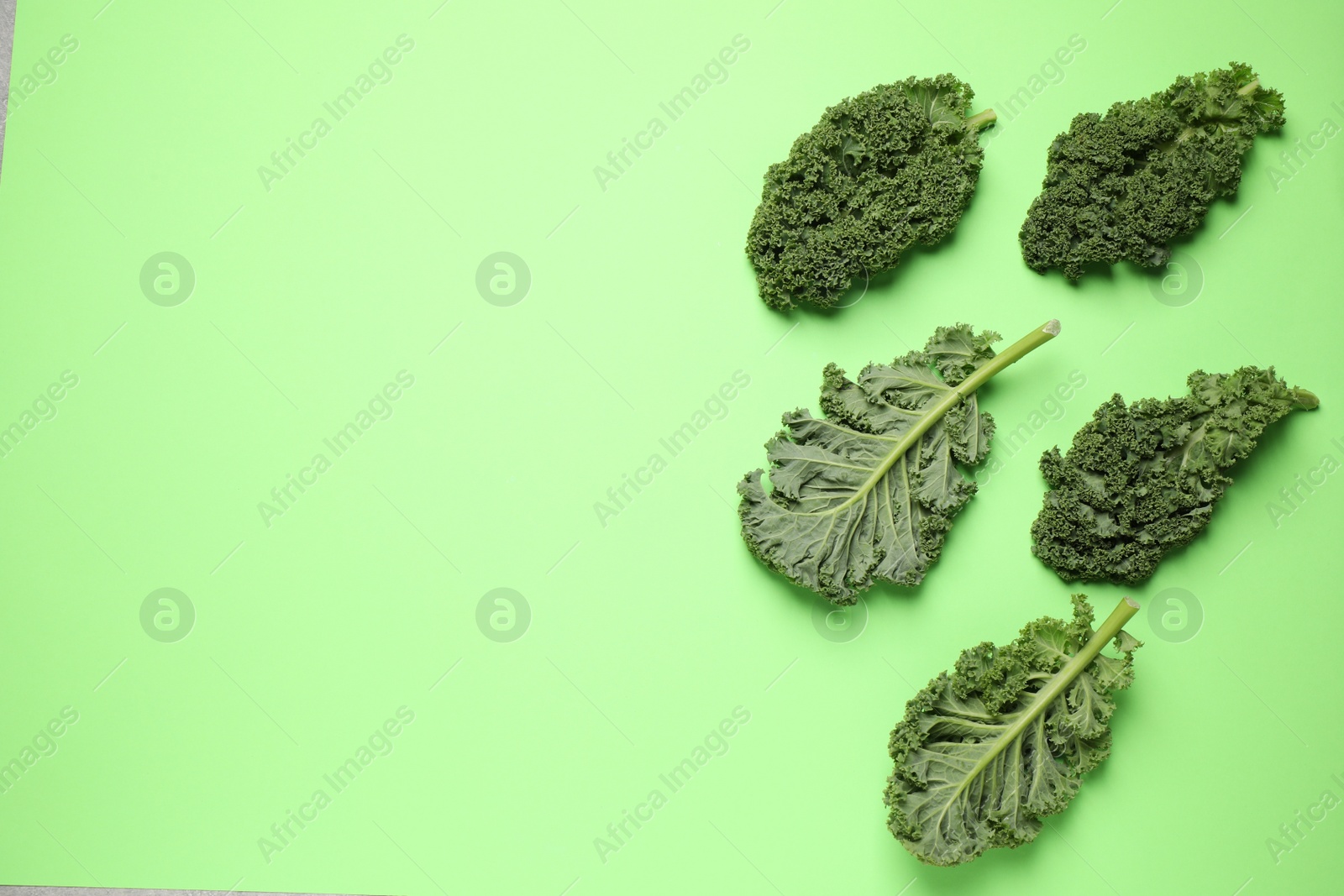 Photo of Fresh kale leaves on light green background, flat lay. Space for text