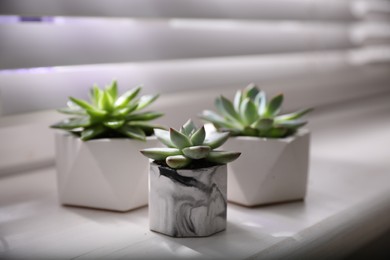 Photo of Beautiful potted succulents on white window sill