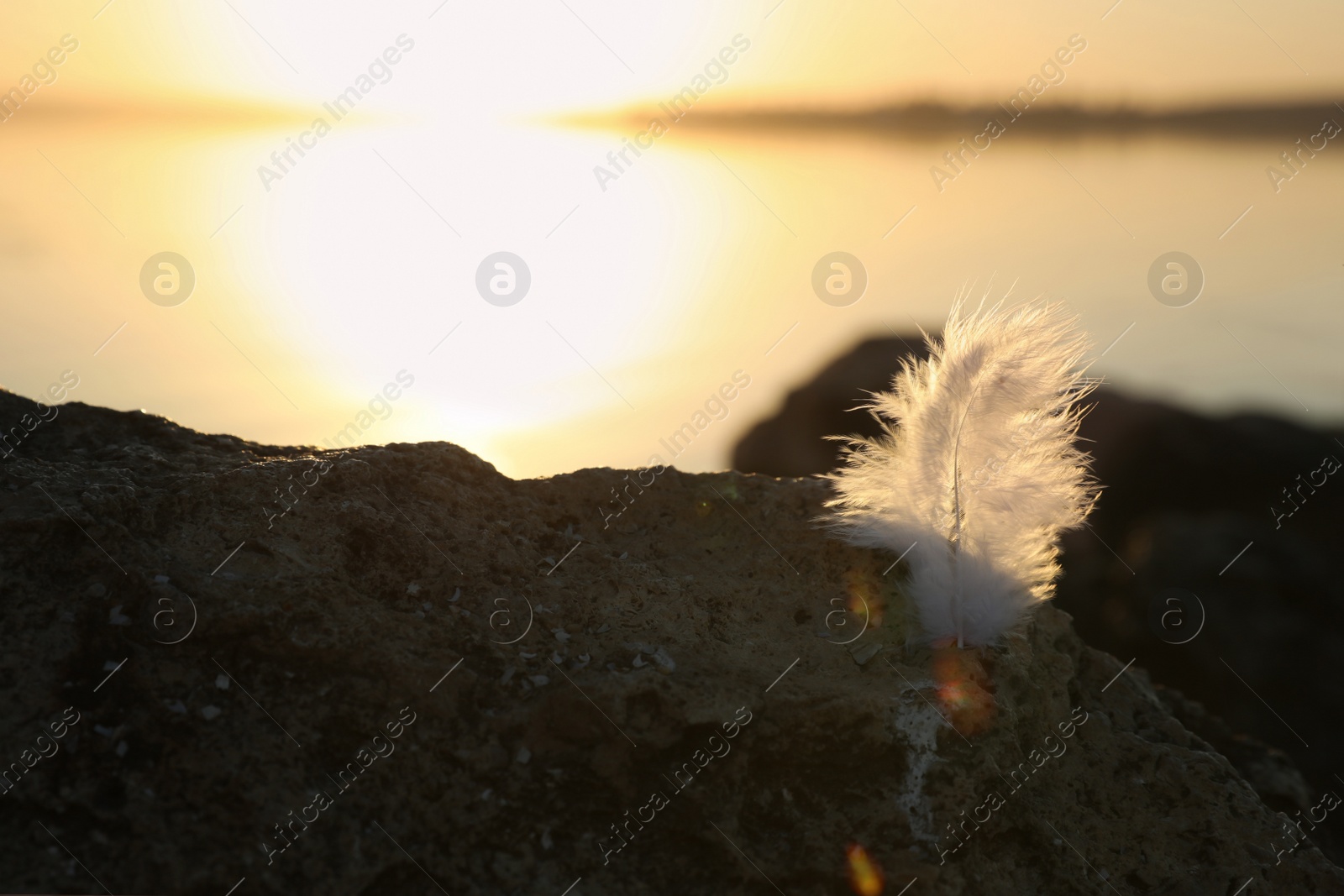 Photo of Feather at beach on sunset, closeup. Healing concept