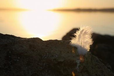 Photo of Feather at beach on sunset, closeup. Healing concept