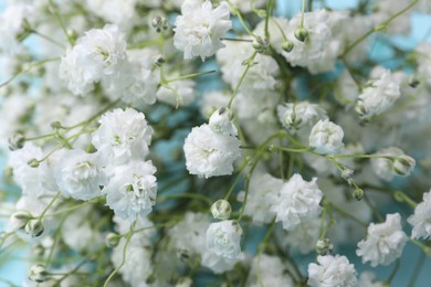 Photo of Beautiful gypsophila flowers on light blue background, closeup view