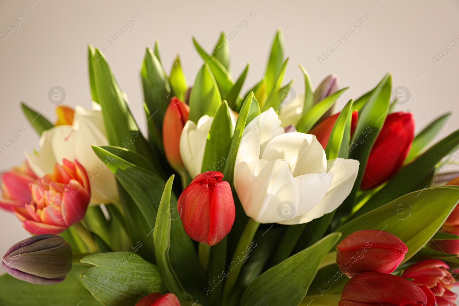 Photo of Beautiful bouquet of colorful tulips on beige background, closeup