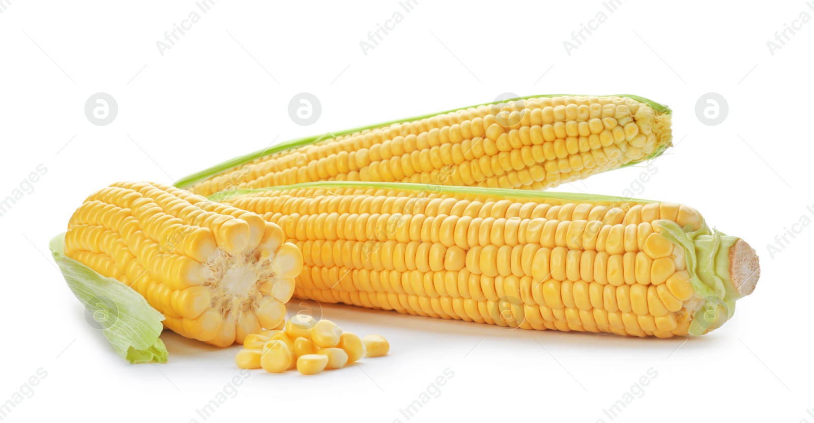 Photo of Tasty sweet corn cobs on white background