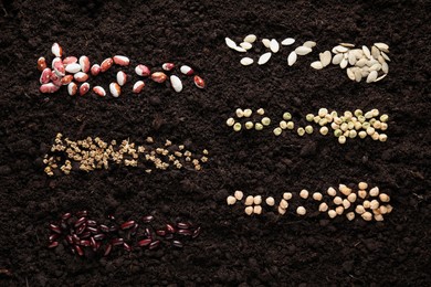 Many different vegetable seeds on fertile soil, top view