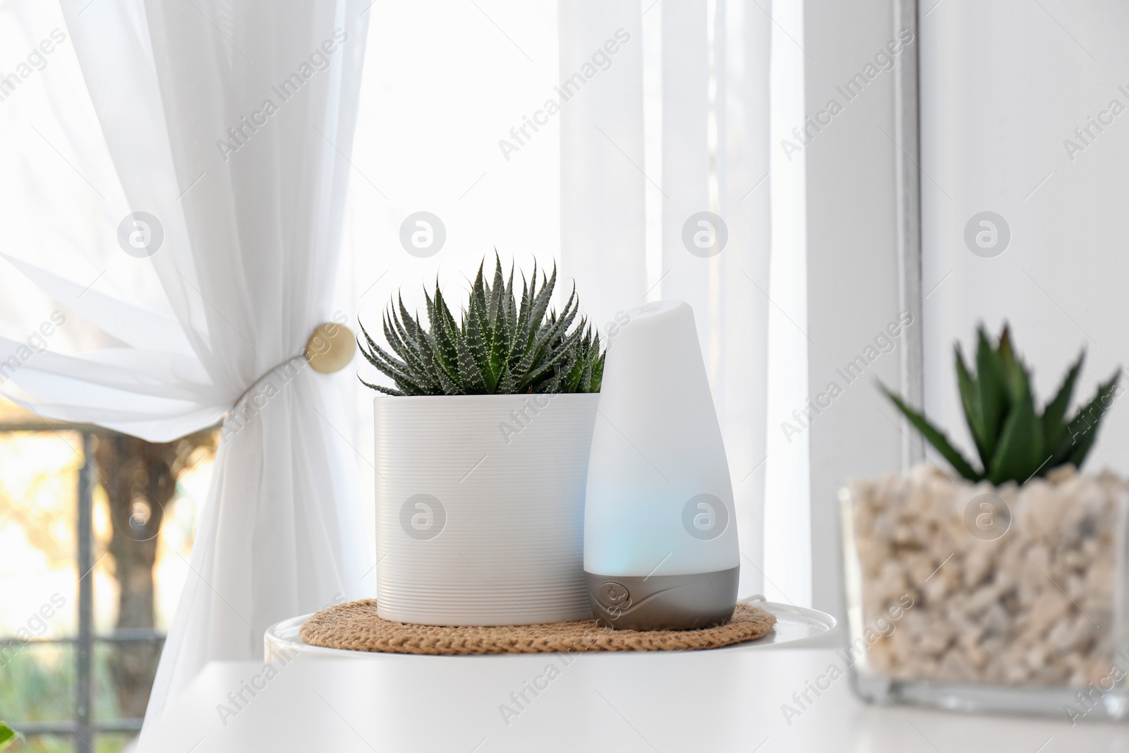 Photo of Plant and oil diffuser on table indoors. Home design idea