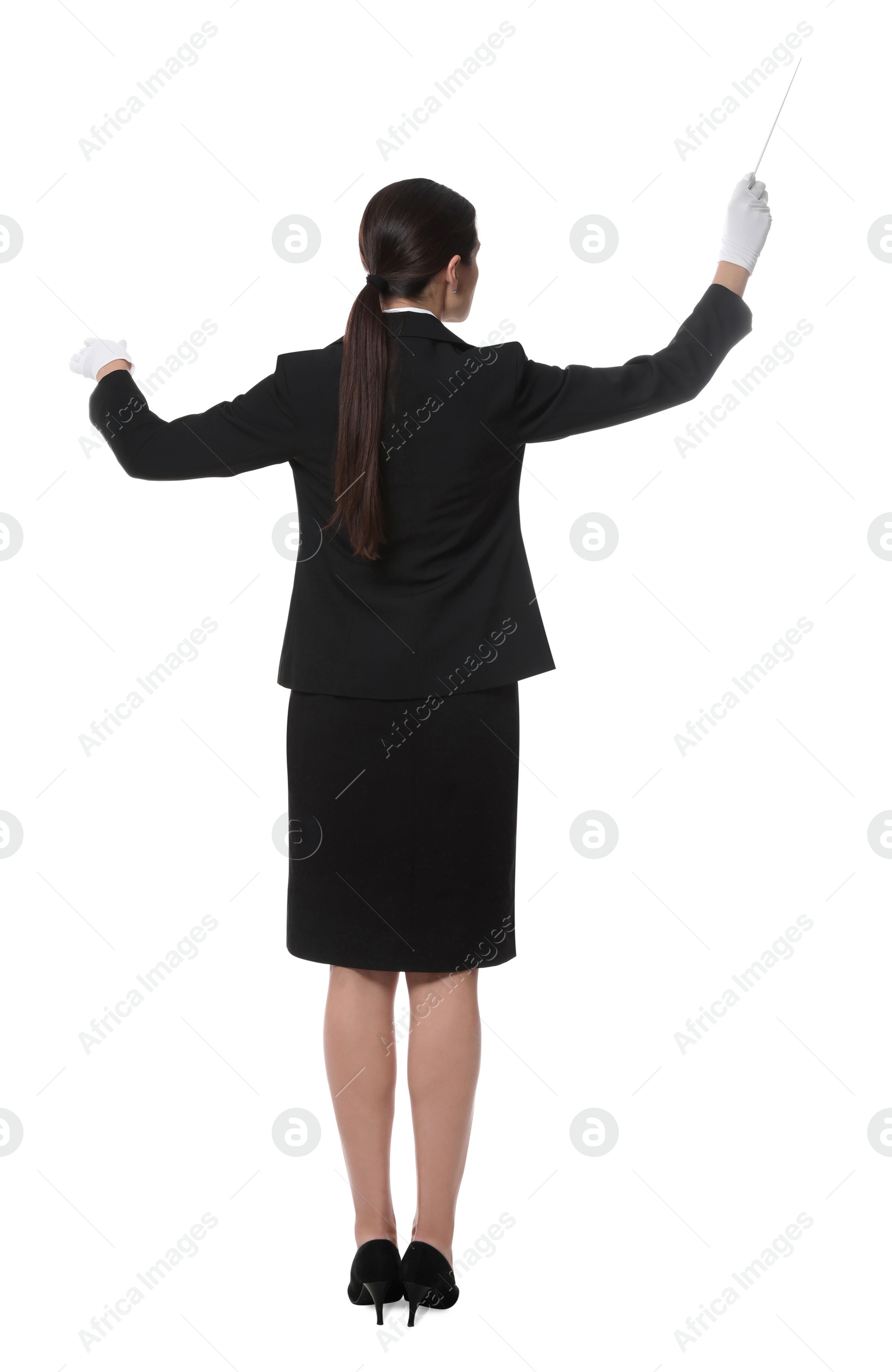 Photo of Professional conductor with baton on white background, back view