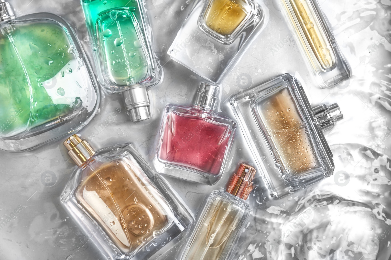 Photo of Different perfume bottles in water, flat lay