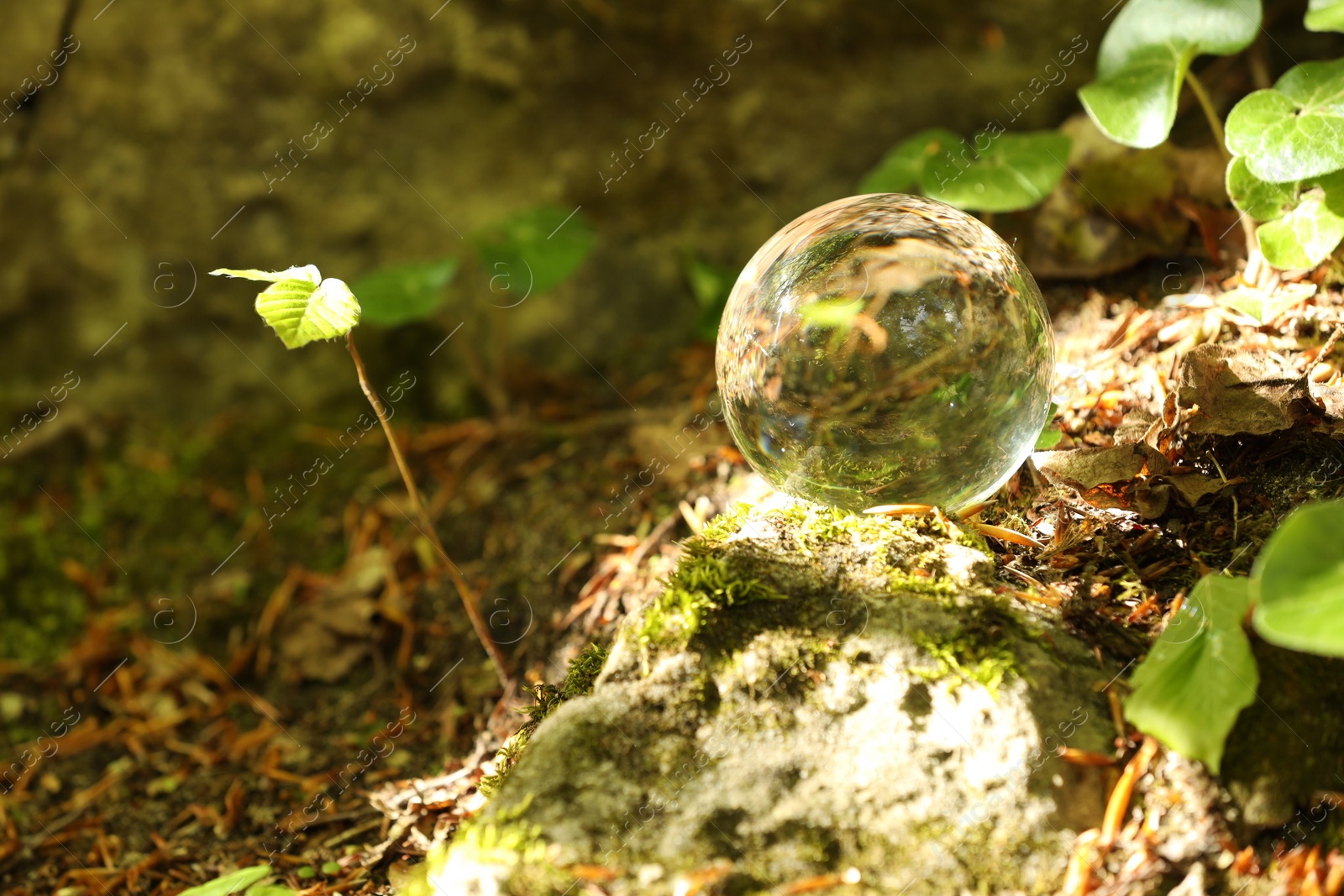 Photo of Beautiful forest, overturned reflection. Crystal ball on stone surface outdoors