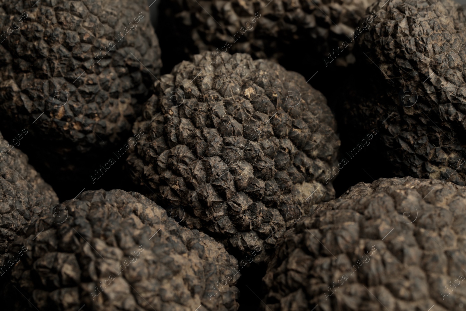 Photo of Closeup view of fresh whole black truffles